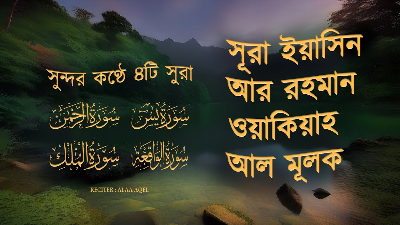 সব চেয়ে সুন্দর তিলাওয়াত - সূরা ইয়াসিন | সূরা আর রহমান |  সূরা ওয়াকিয়া | সূরা মূলক | By Alaa Aqel