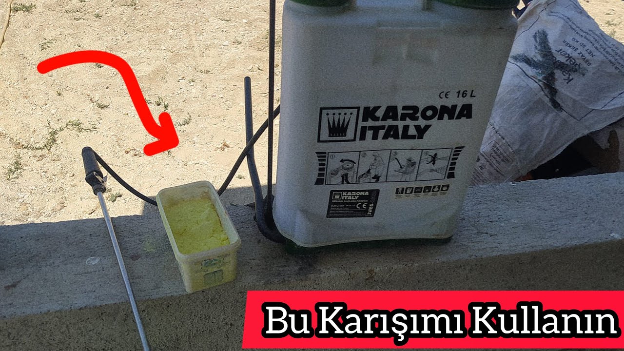 Üzüm Çubukları Hastalanmasın Diye Bunu Kullanın