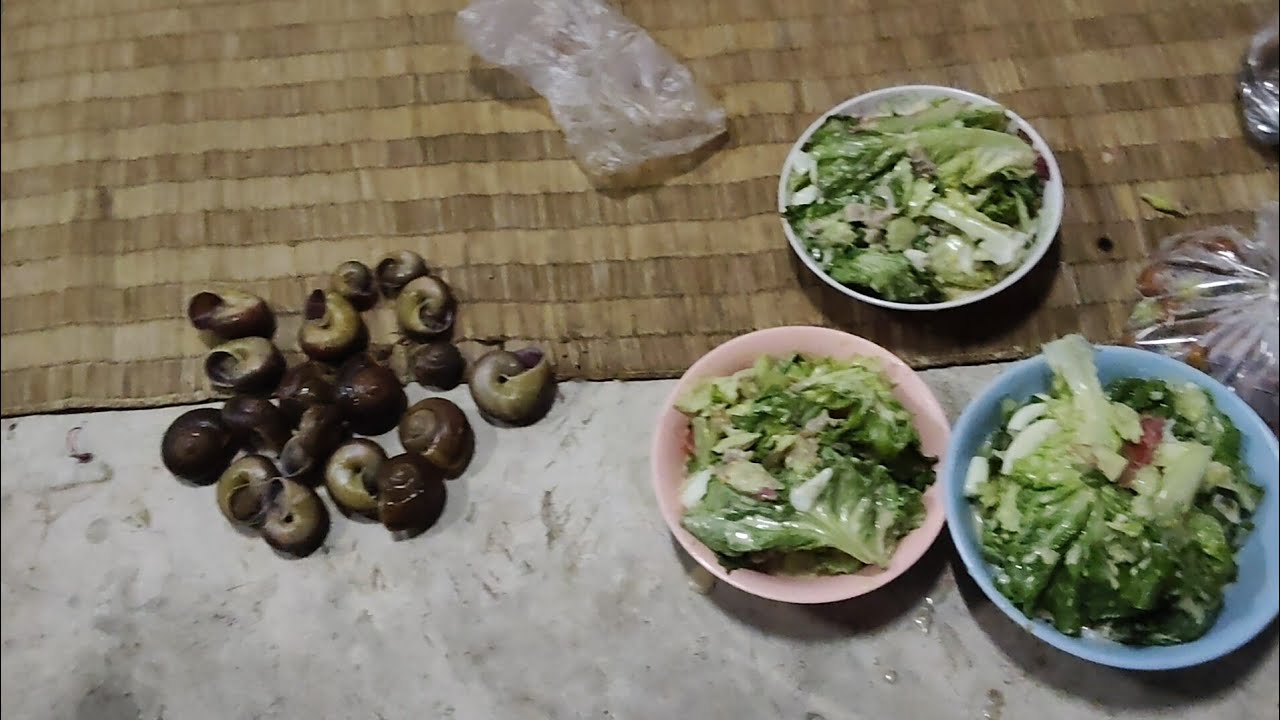 ขอบคุณของฝากจากบ้าน20 มกราคม.2026