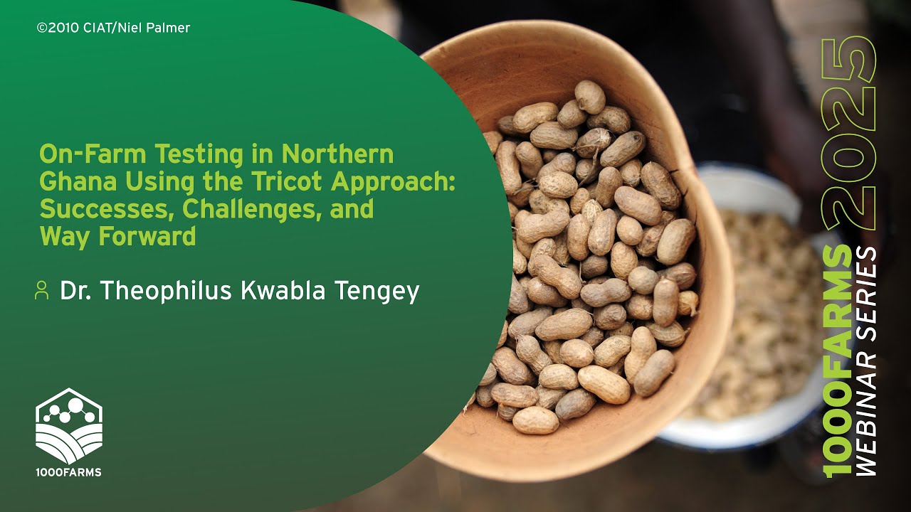 On-Farm Testing in Northern Ghana Using the Tricot Approach: Successes, Challenges, and Way Forward