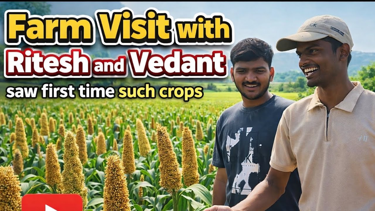 Farm Visit with  Ritesh and Vedant saw first time such crops 