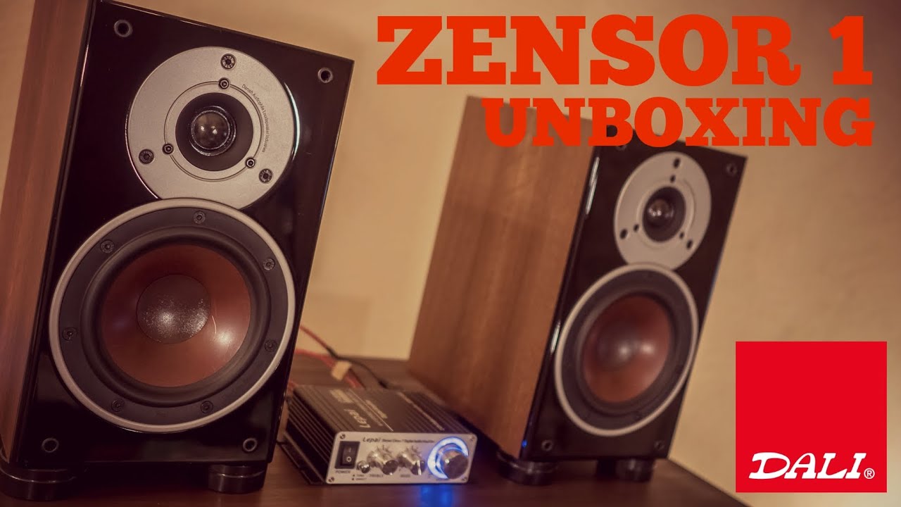 DALI ZENSOR 1 開封&音出し