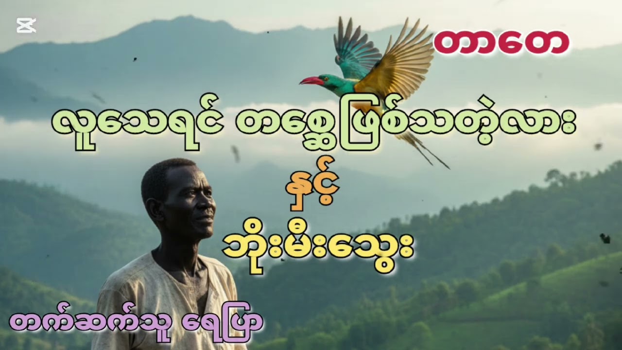 #တာတေ