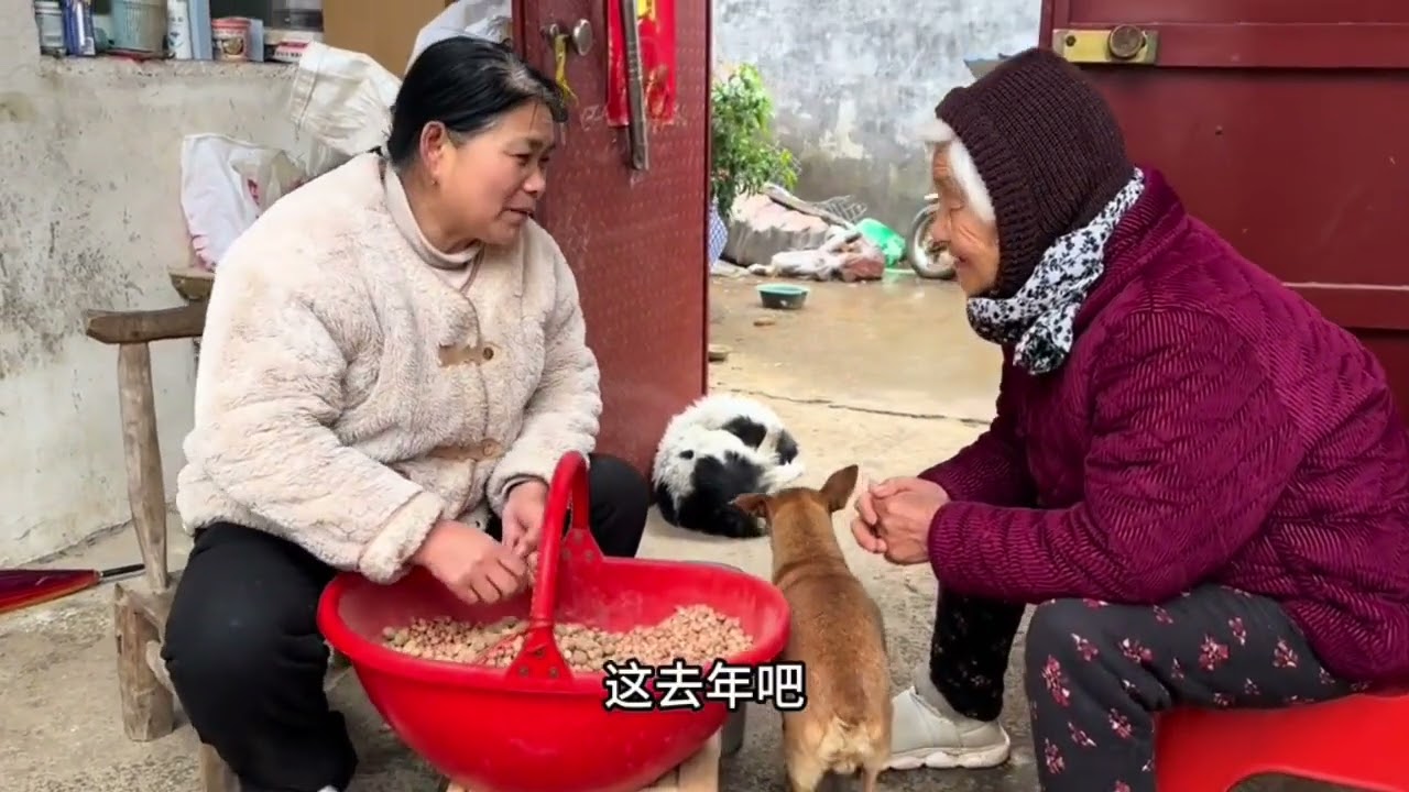 老母亲这次赞成李佳的做法，把阿杜妈逮去住几天，让她收敛一点。
