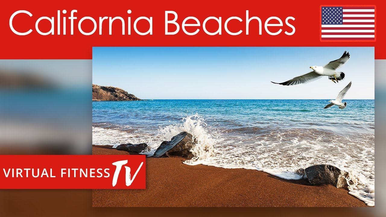 Virtual Beach Run on California Best Beaches with Seabirds with Ocean Waves sounds + Seagulls