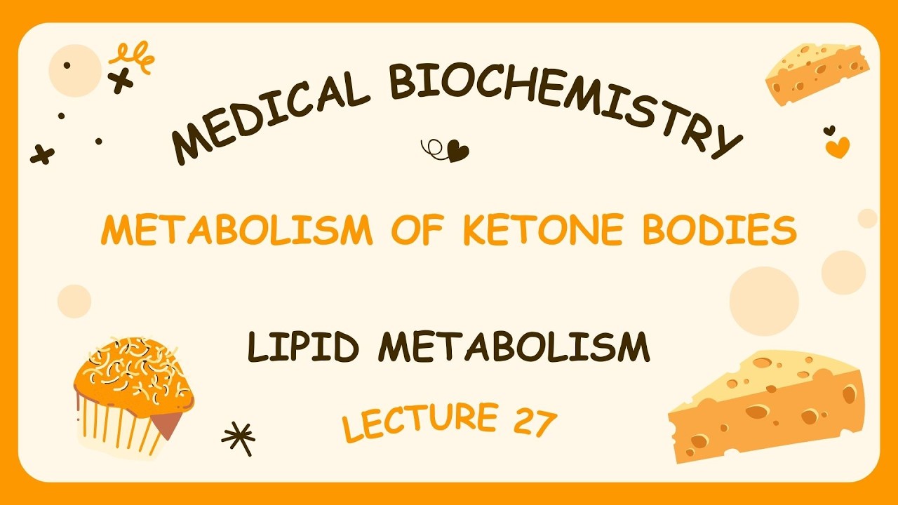 Lecture 27 | Metabolism of ketone bodies
