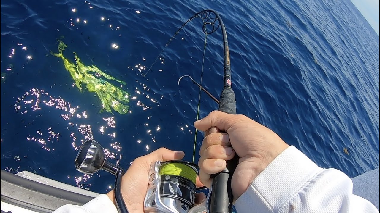 Lots Of BIG Mahi Oregon Inlet Offshore Fishing