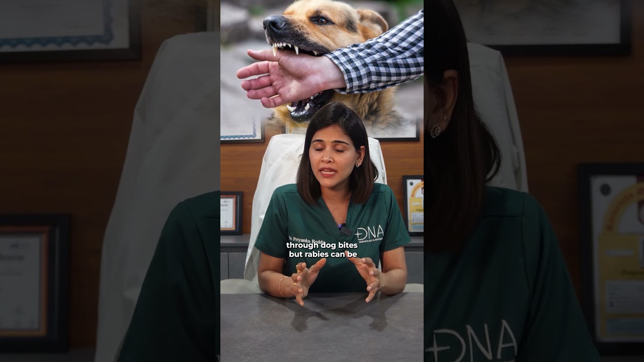🛡️ Rabies Vaccination Schedule