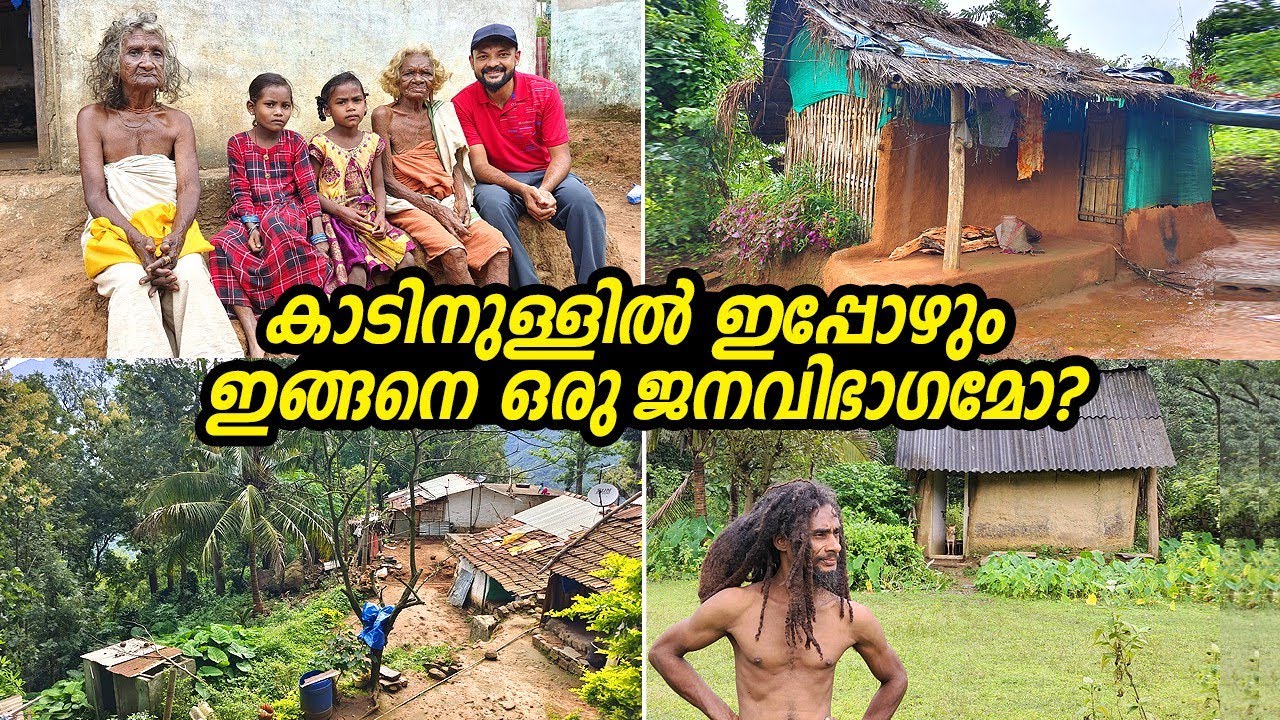 7 വീടുകൾ മാത്രമേ ഇവിടെ ഉള്ളൂ | നീലഗിരി മലനിരകളിൽ താമസിക്കുന്ന ആദിവാസി ഗോത്ര സമൂഹം | Nilgiri mountain