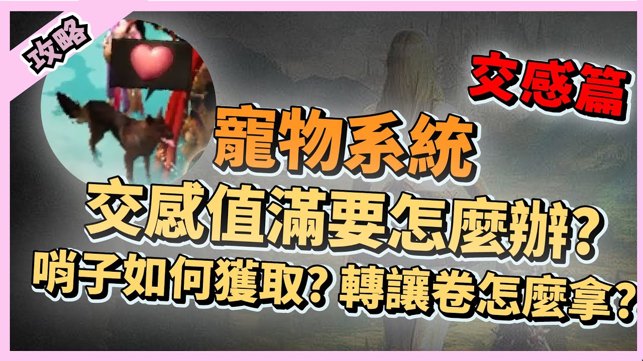 【 天堂W】寵物系統交感篇! 交感值滿要怎麼辦?哨子獲取方式? 轉讓卷如何拿?｜ 遊戲攻略｜LineageW 리니지W｜祥可可｜#天堂W #祥可可