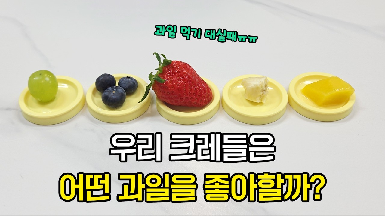 우리 크레들은 어떤 과일을 좋아할까?