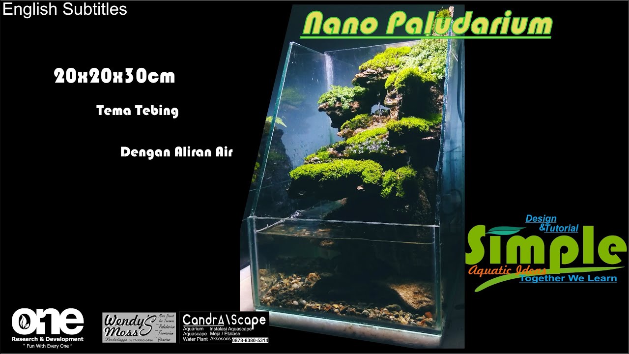 Step by step paludarium 20cm tema tebing dengan air mengalir #49