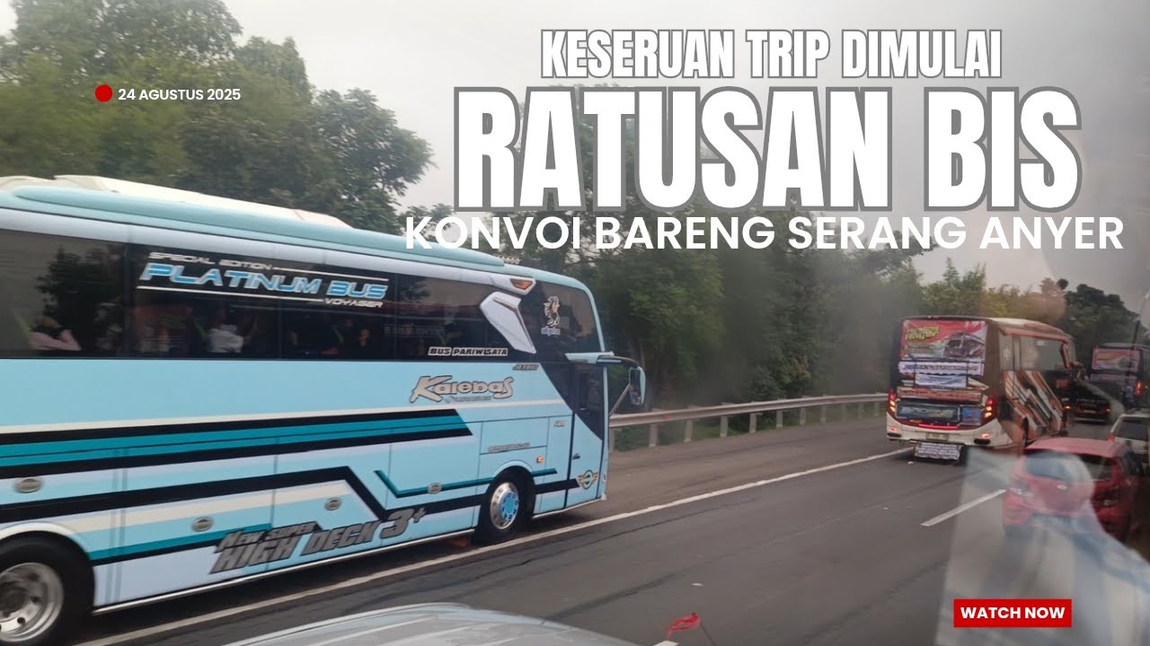 CIREBON - ANYER || GOKIL RATUSAN BIS KONVOI SERANG ANYER FULL BASURI
