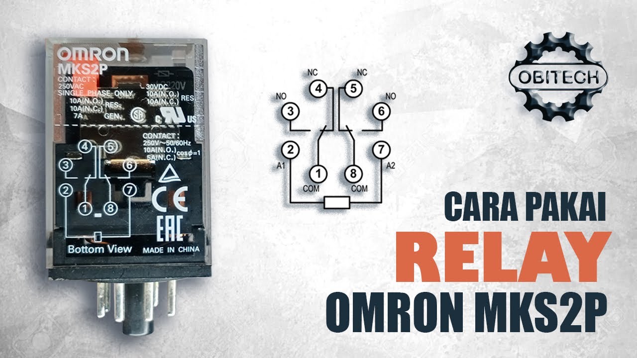 Relay OMRON MKS2P 220V
