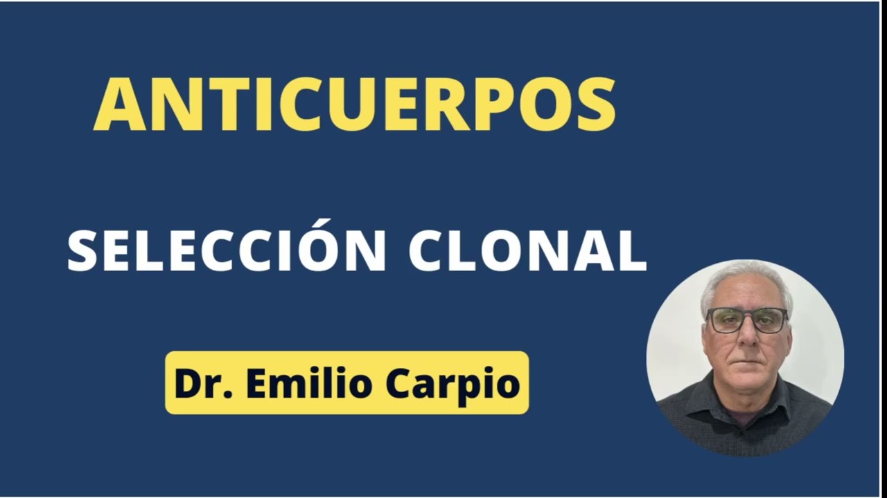 Anticuerpos: Selecci&oacute;n clonal