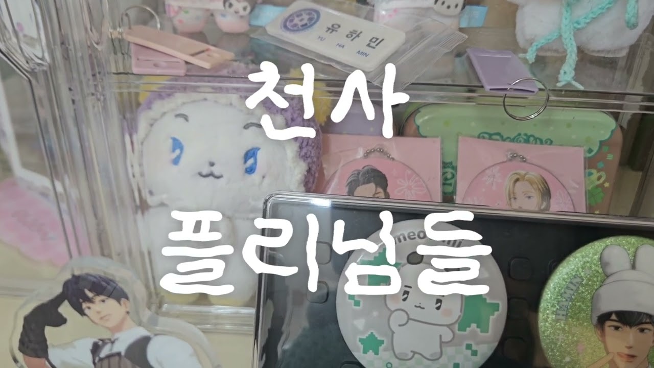 [플리로그] 결국 플리로그를 저렴하게 가져왔습니다.