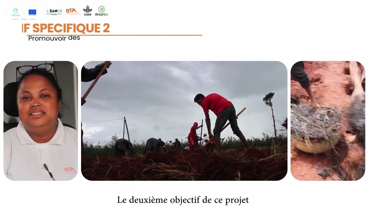 PROJET BRECOMA - IITA MADAGASCAR VF