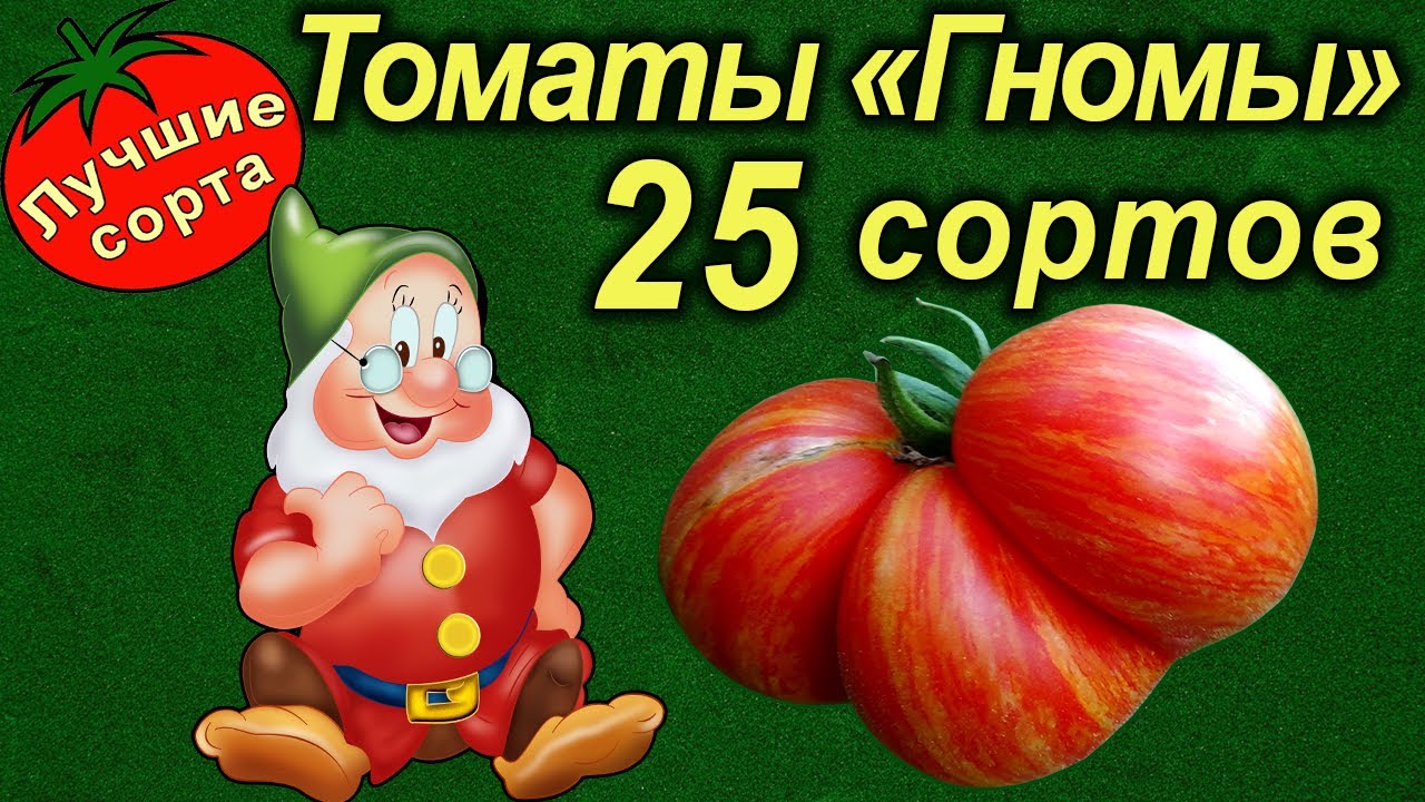 ТОМАТЫ СЕРИИ 