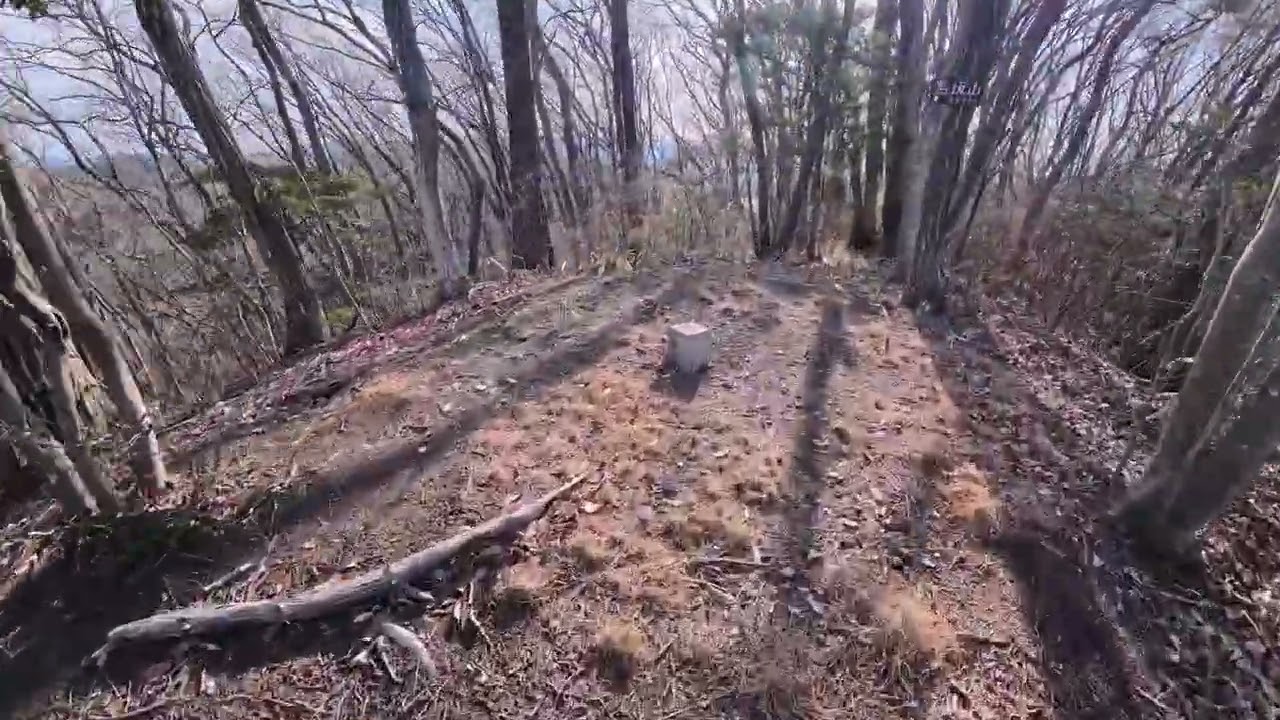 樺崎城　赤見駒場城　鳩の峰城　三城を巡る