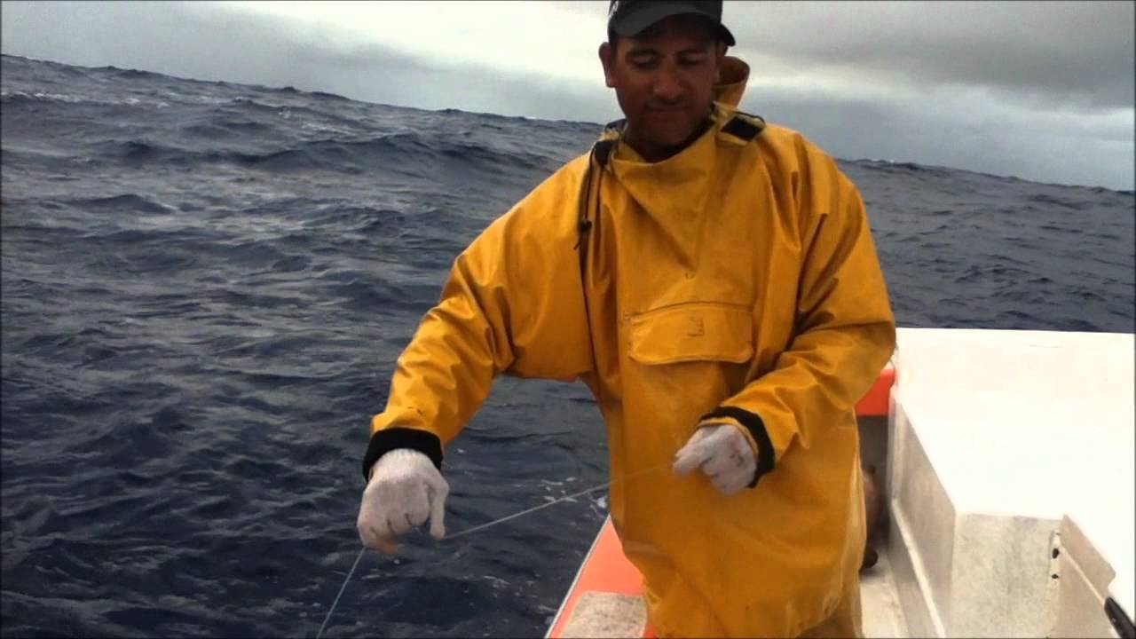 La pêche aux gros thons 