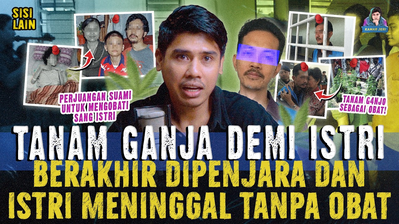 KEBAIKAN TUMBUHAN GANJA ! CERITA YANG AKAN MENGUBAH SUDUT PANDANG TENTANG EFEK TUMBUHAN GANJA