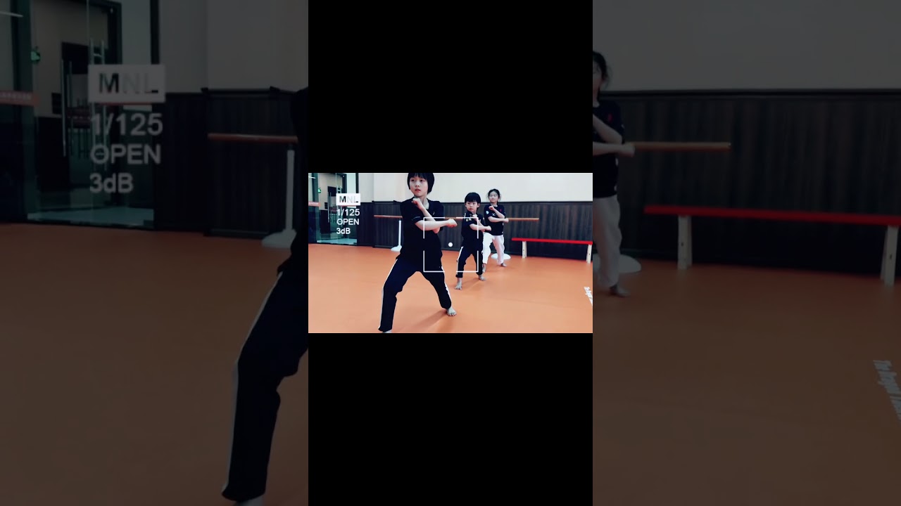 ✨中国龙队示范团 the dragon taekwondo team of China 🇨🇳