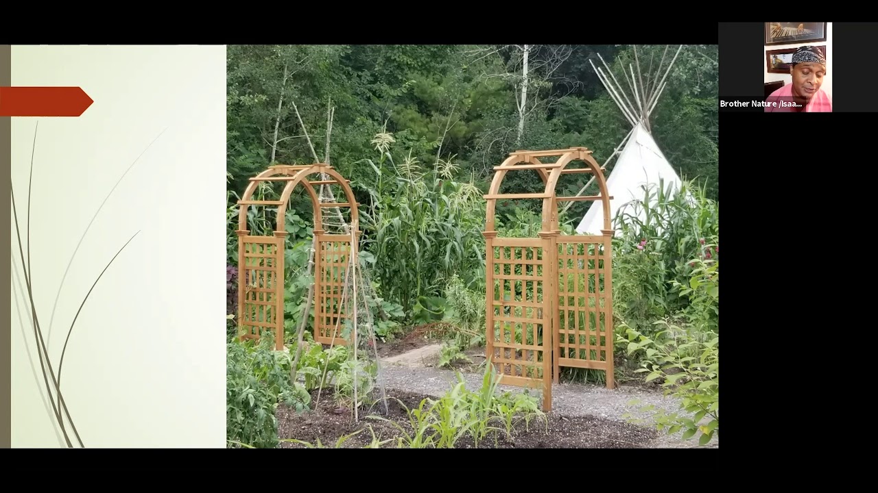 Our Connection to Nature and Transforming Our Space