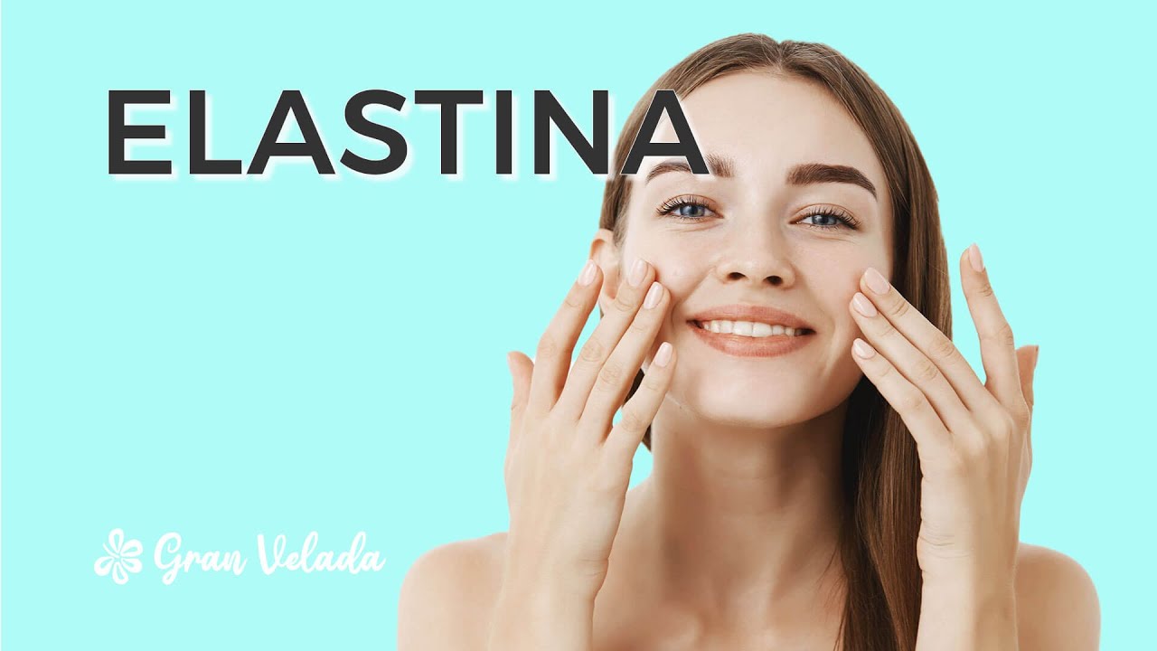 &iquest;Que es la Elastina?