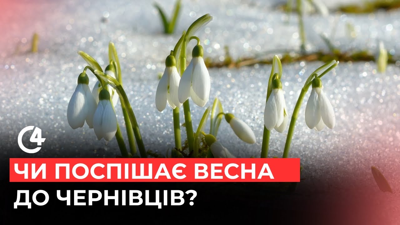 Між зимою і весною: що чекає Чернівці наприкінці лютого