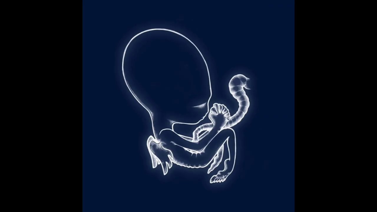 The Making of ÁGÆTIS BYRJUN by Sigur Rós - featuring Kjartan Sveinsson