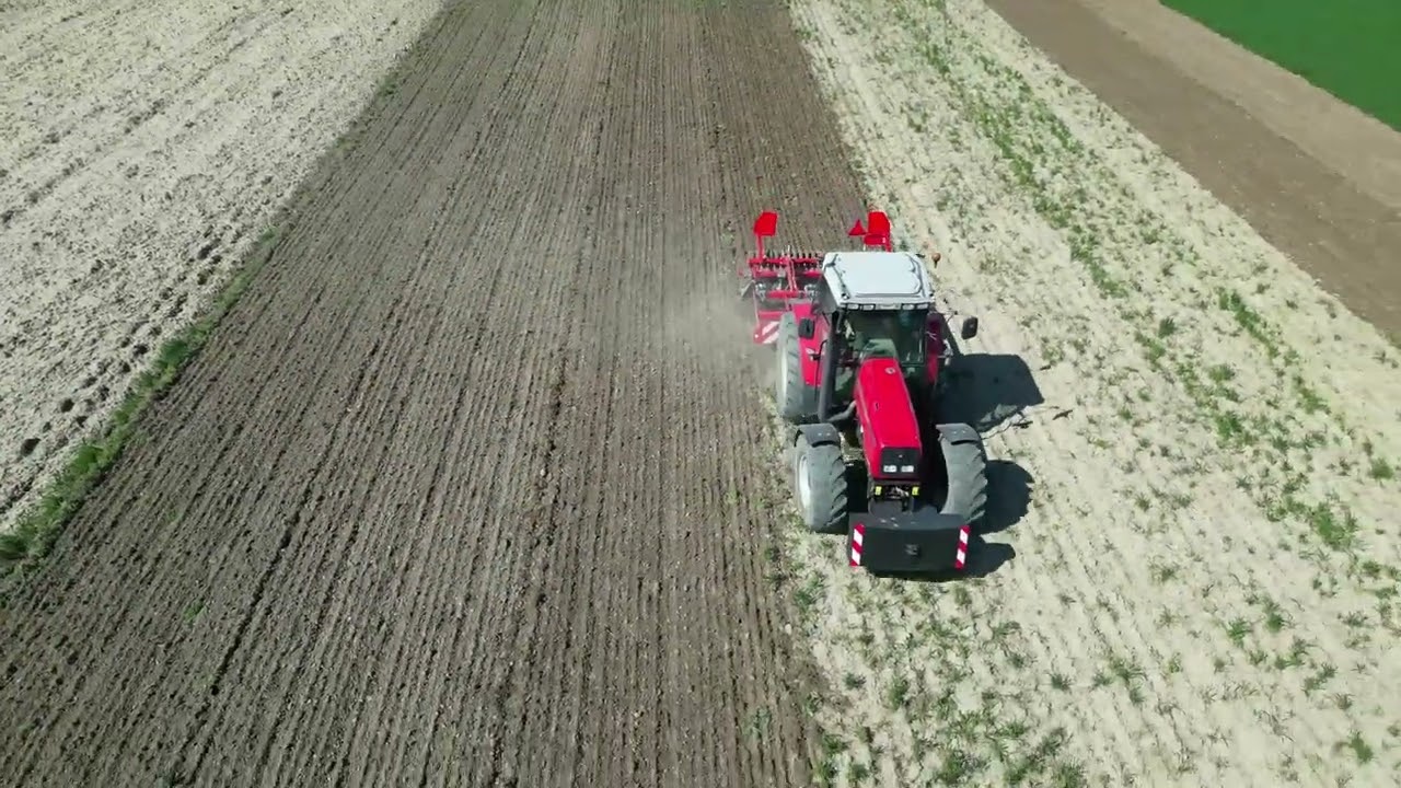 Wiosenne manewry polowe Siew grochu Massey 6290 z Unia Cross S & Valtra 6350 z Unia Ceres/Amazone D9