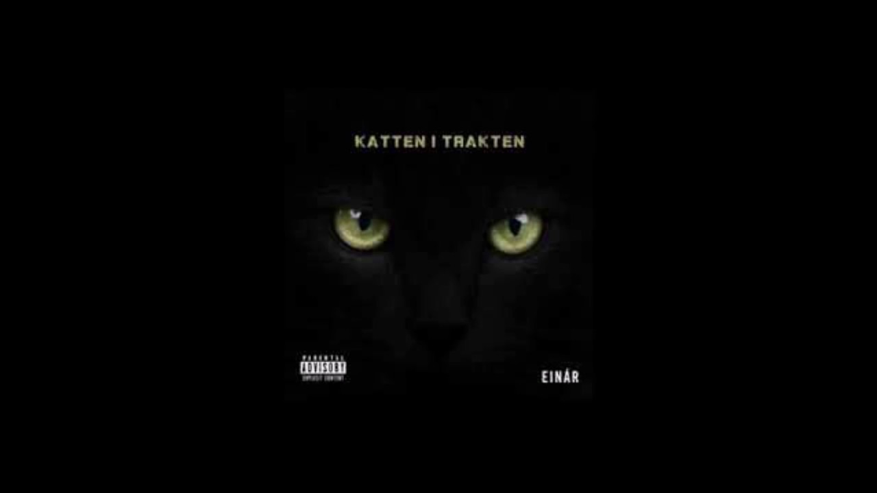 (LYRICS)  Ein&aacute;r - Katten i Trakten🤑