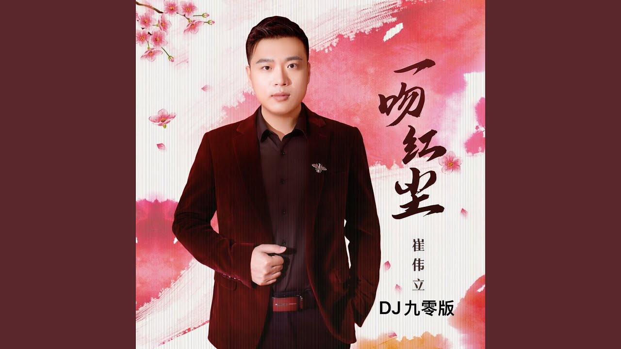 一吻红尘 (DJ九零版)