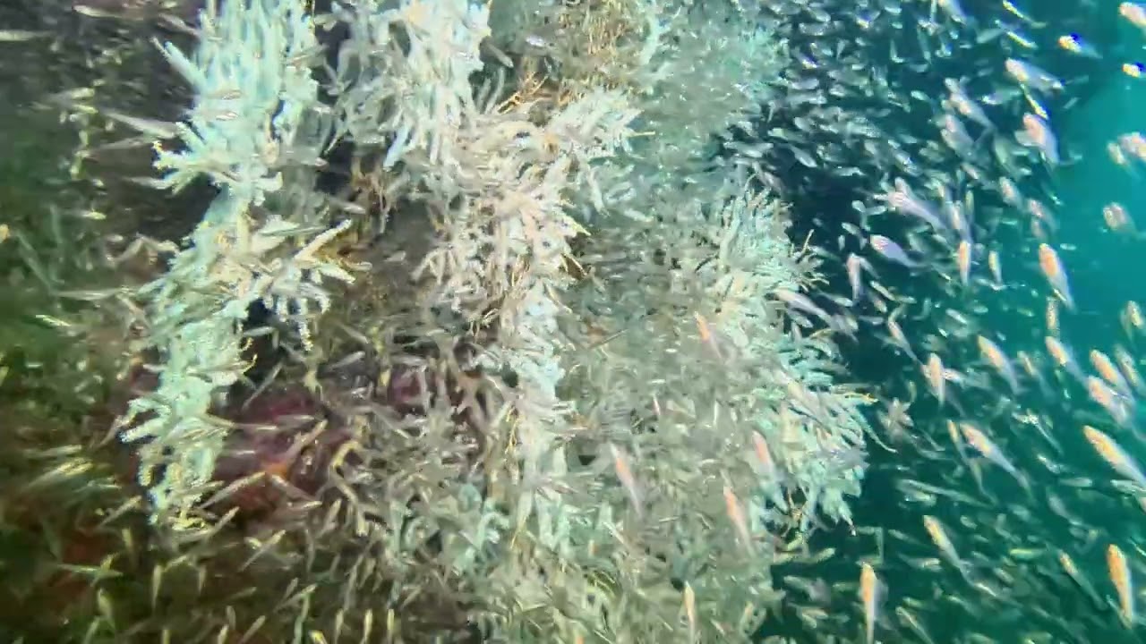 Koh Haa #5