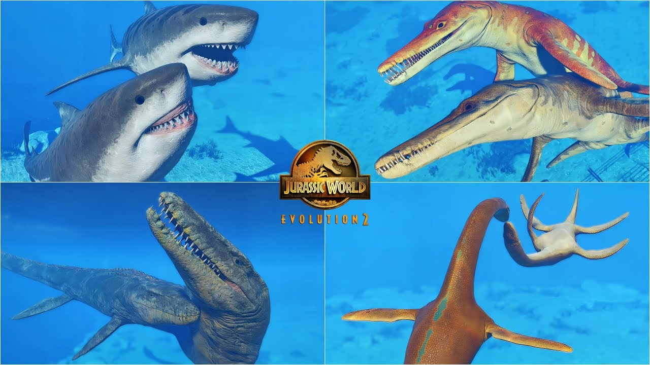 RANKING ALL 16 SOCIAL ANIMATIONS OF MARINE REPTILES IN JURASSIC WORLD EVOLUTION 2 | MEGALODON