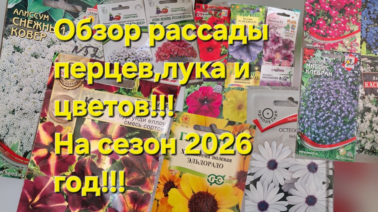 Рассада перцев на обрезку!!!Обзор рассады лука и цветов на сезон 2026 год!!!