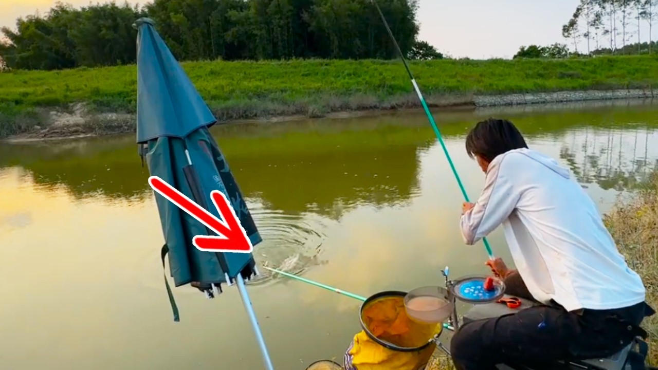 剛挖好的小河沒人願意釣，我來試試，又能玩又能喫好愜意！【野釣長空】#釣魚