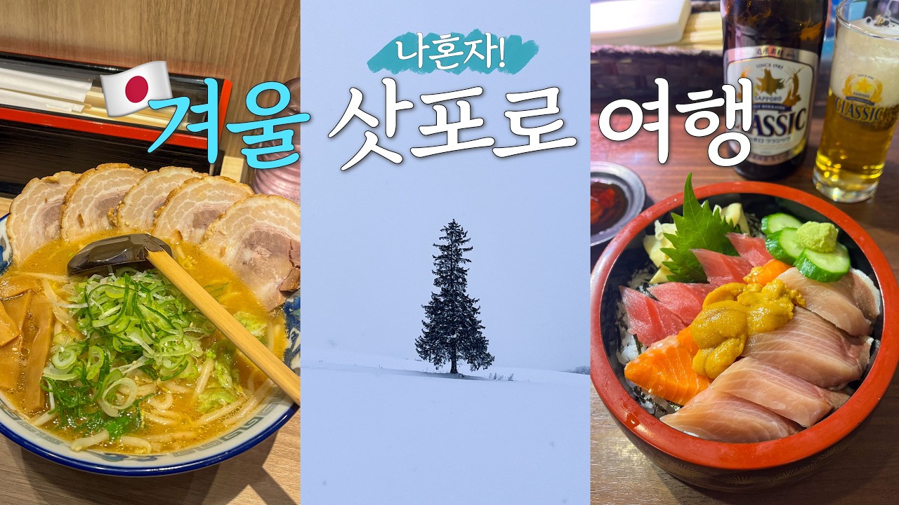 삿포로 혼자 여행 vlog 🇯🇵 3박 4일은 너무 아쉬운 훗카이도❄️ 크리스마스트리, 사계채의 언덕, 카이센동 현지인 맛집, 다이신 라멘 | EP.3