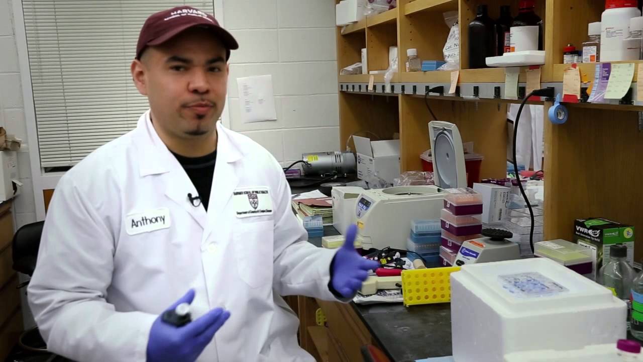Why Public Health? Anthony Covarrubias