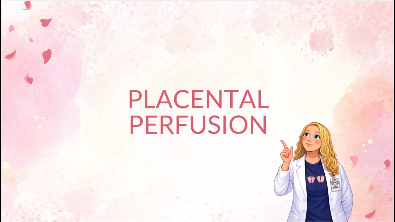 Placental Perfusion