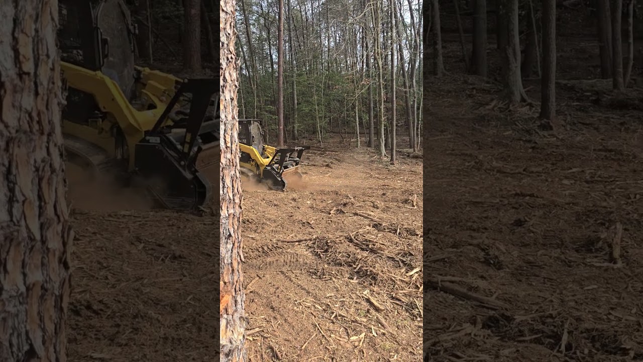 259D3 CATERPILLAR  FORESTRY MULCHING