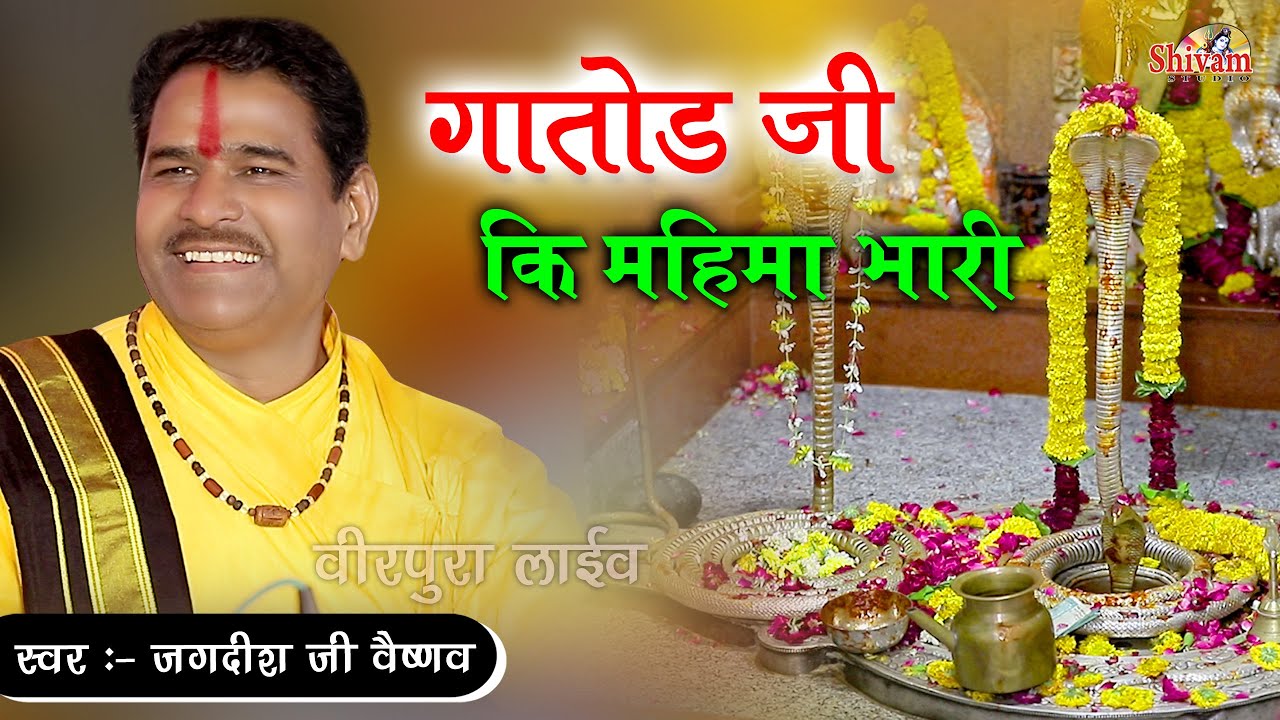 गातोड़ जी की महीमा भारी | Jagdish Vaishnav | वीरपुर गातोड़ जी | Gatod Ji Virpura | Shivam Studio Gudli