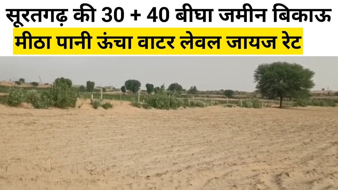 सूरतगढ़ की 30 + 40 बीघा जमीन बिकाऊ मीठा पानी ऊंचा वाटर लेवल जायज रेट शहर के नजदीक | #land 