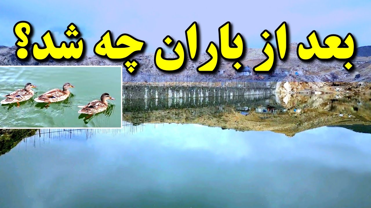 بعد از باران چه شد؟ | افزایش جریان آب ورودی بند همبستگی 