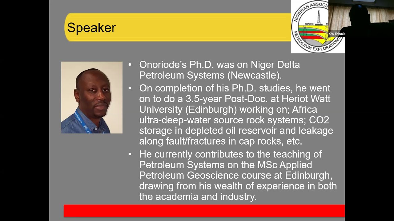 Niger Delta Deep Petroleum System(s?): The Diamondoid Story