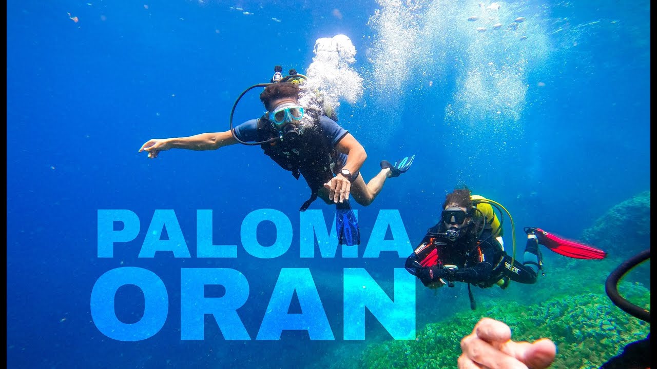 PALOMA - ORAN - ALGERIA