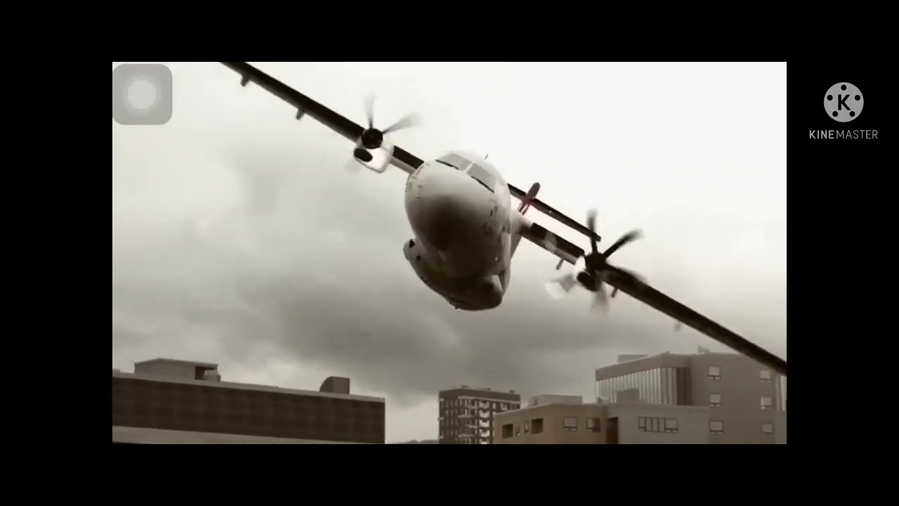 Nekozilla(air crash mayday)
