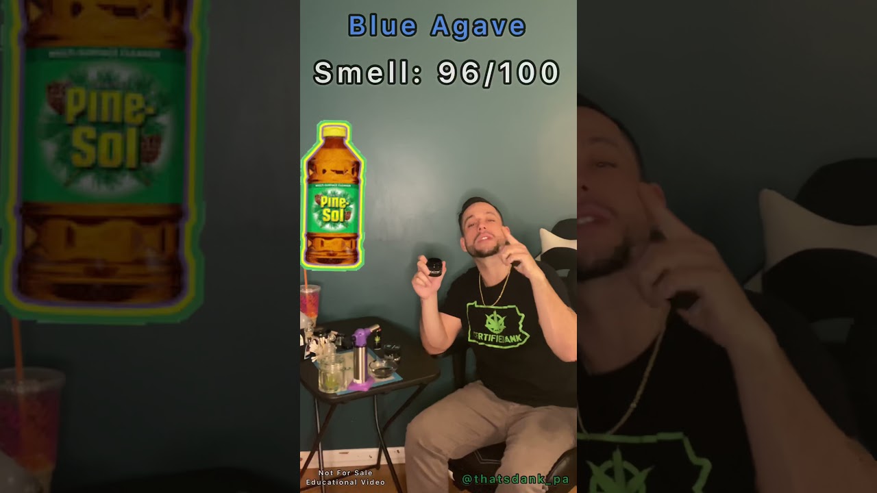 EP19: Maitri (PA MMJ)