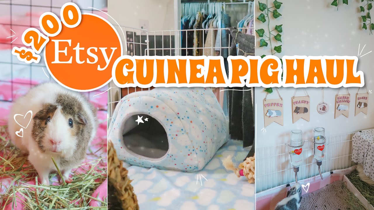 HUGE $200 ETSY GUINEA PIG HAUL! ❤