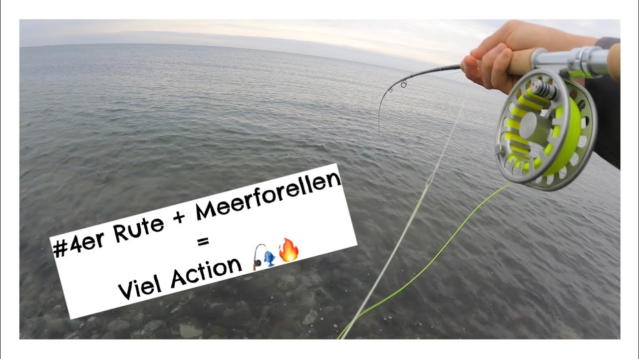 Mit der #4er Fliegenrute an der offenen Küste / Fliegenfischen auf Meerforelle